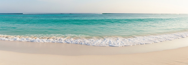 Contatta Papa Remo Beach