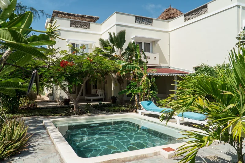 Villa Juliana's exterior with its private plunge pool, loungers and palms