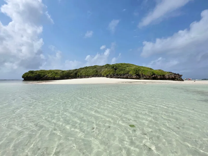 A low green islet ringed by a bright white sandbar, seen across clear shallow water rippled by the current.