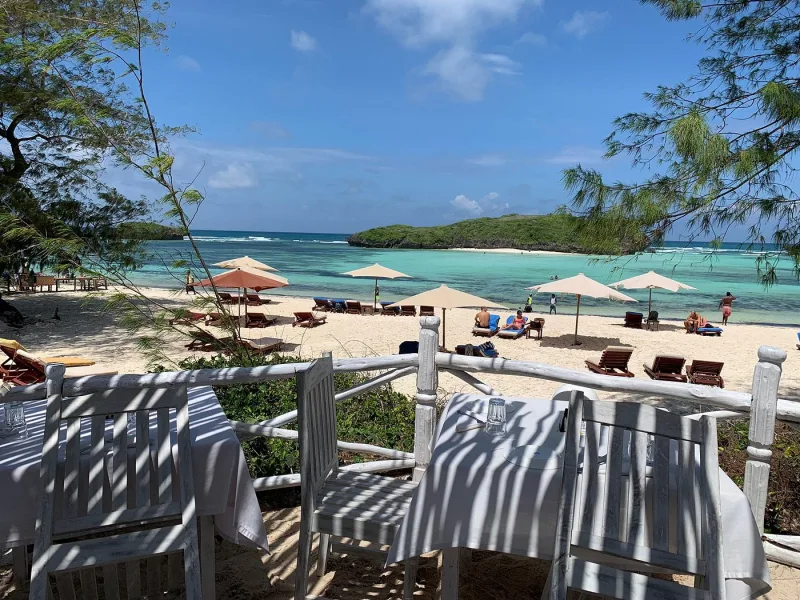 Tables laid under dappled shade behind a driftwood rail, looking down onto umbrellas, loungers and the lagoon.
