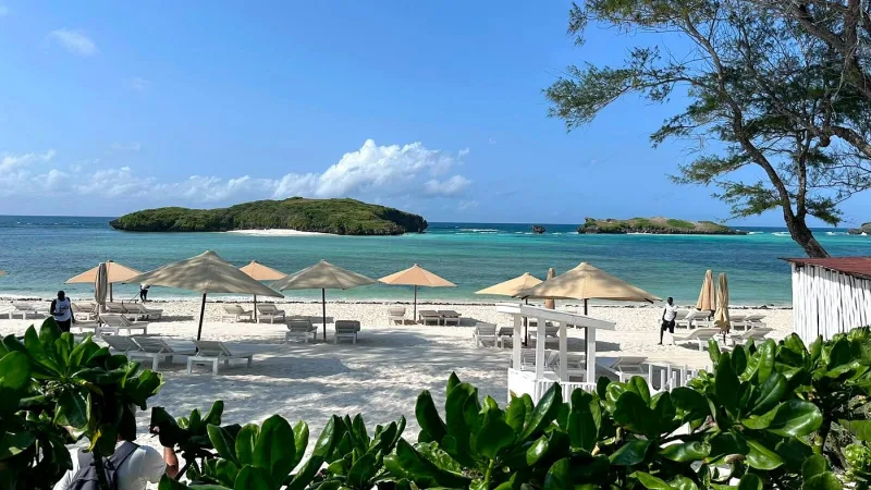A long row of cream umbrellas and white loungers on the beach, with the lagoon, the reef line and two islets behind, framed by a casuarina tree.